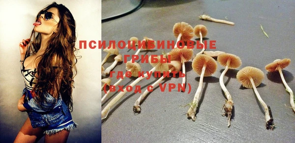 круглые Алексин