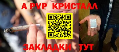 ПСИЛОЦИБИНОВЫЕ ГРИБЫ Новозыбков
