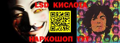 стаф Новокубанск