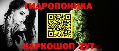 ПСИЛОЦИБИНОВЫЕ ГРИБЫ Новозыбков