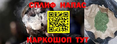 стаф Новокубанск