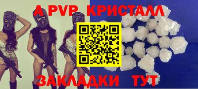 стаф Новокубанск