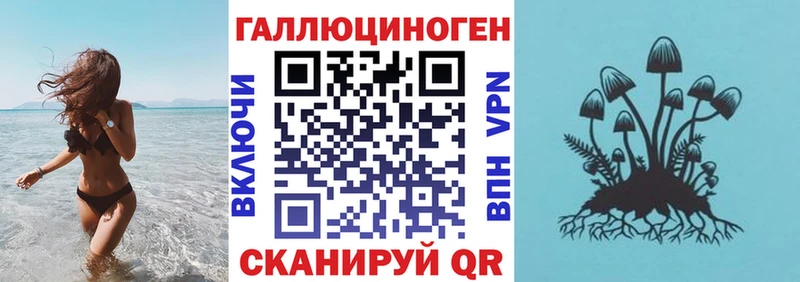 Псилоцибиновые грибы Cubensis  Березники 