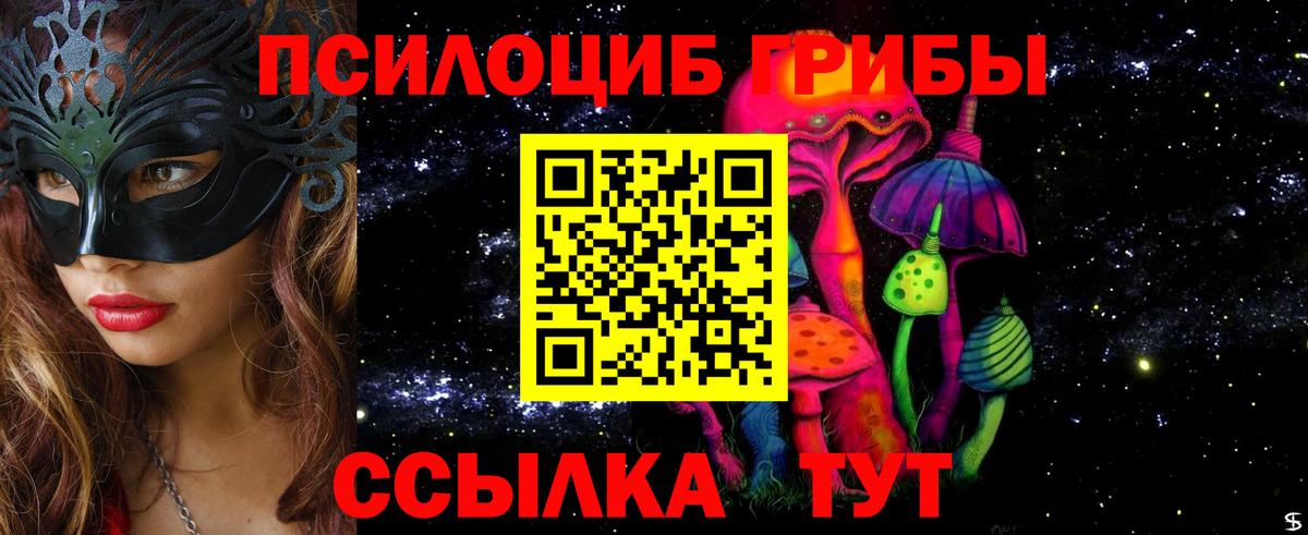 Березники  Псилоцибиновые грибы Cubensis  Вход с VPN  Псилоцибиновые грибы Cubensis 
